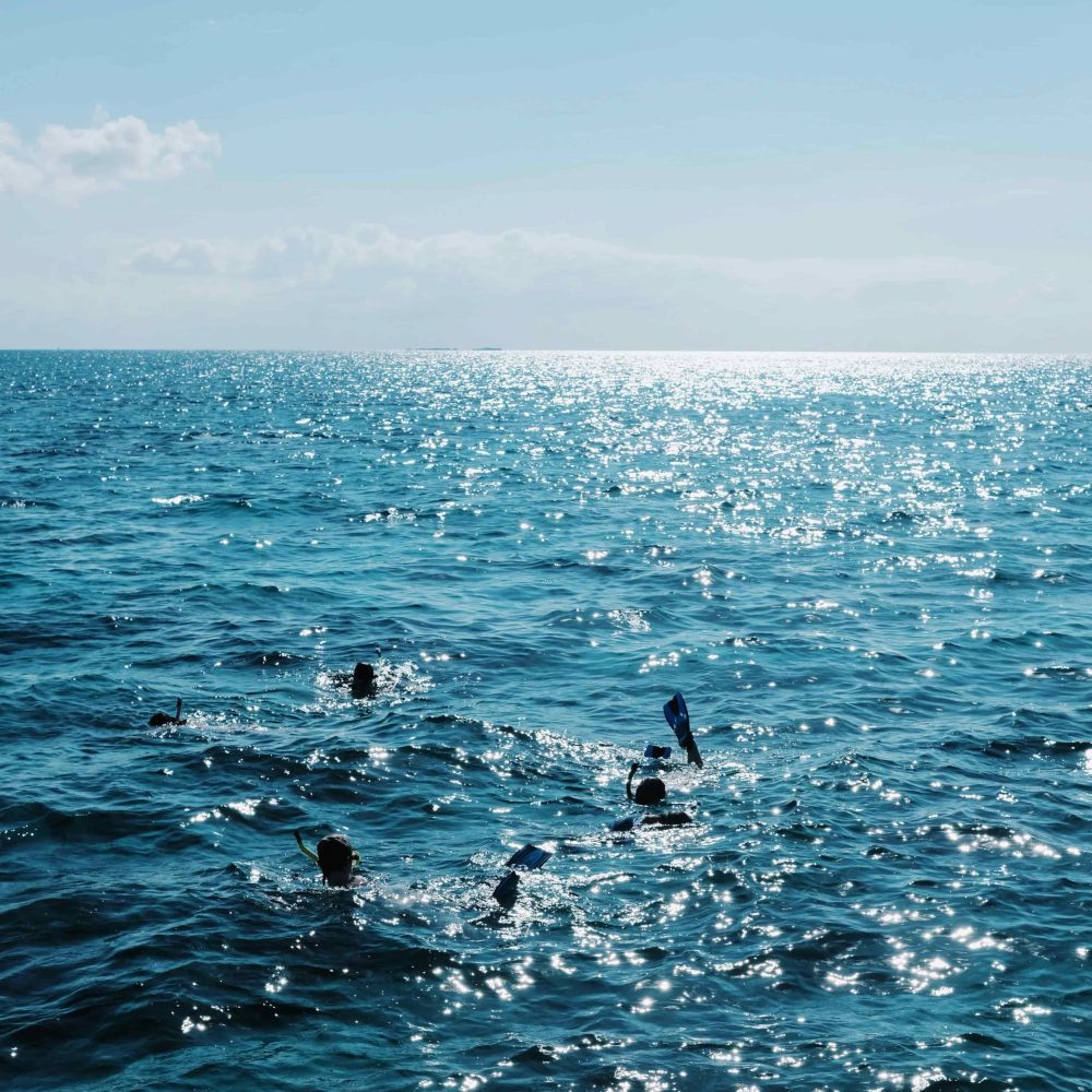 Mehrere Person schwimmen in einem glitzernden Ozean.